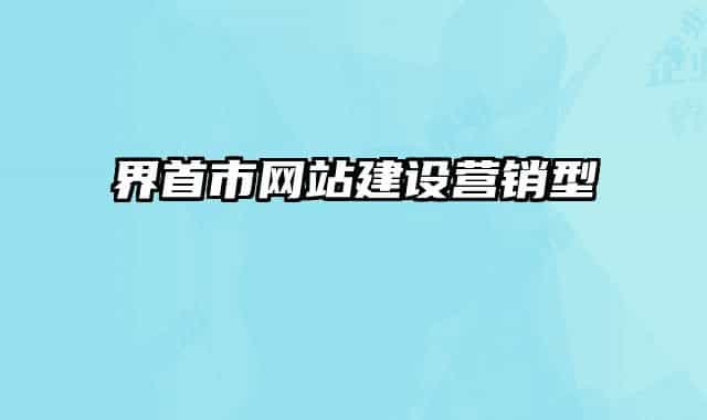 界首市网站建设营销型