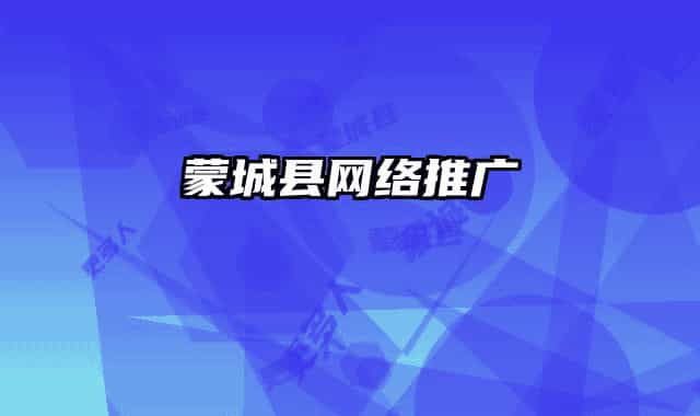 蒙城县网络推广