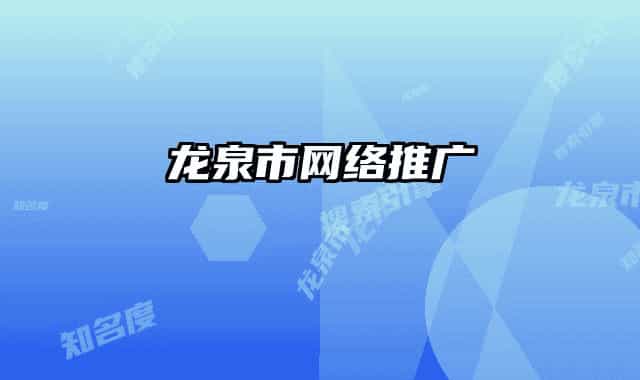 龙泉市网络推广