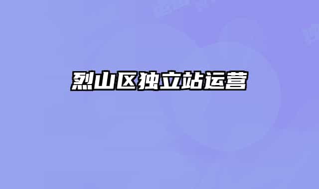 烈山区独立站运营