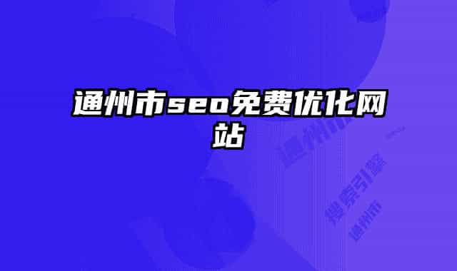 通州市seo免费优化网站