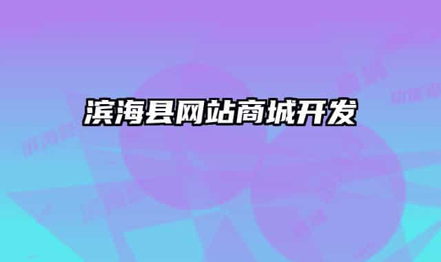 滨海县网站商城开发