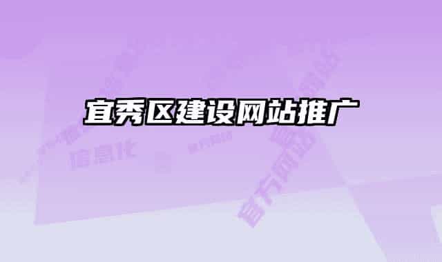 宜秀区建设网站推广