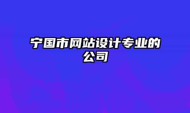 宁国市网站设计专业的公司