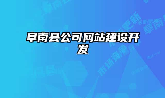 阜南县公司网站建设开发
