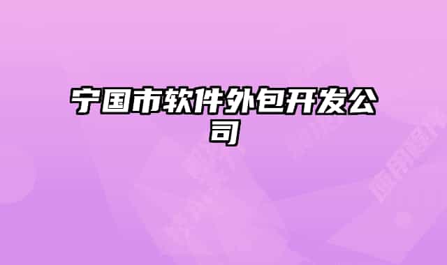 宁国市软件外包开发公司
