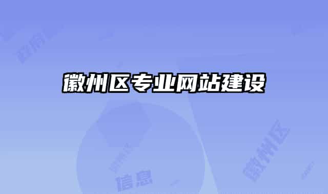 徽州区专业网站建设