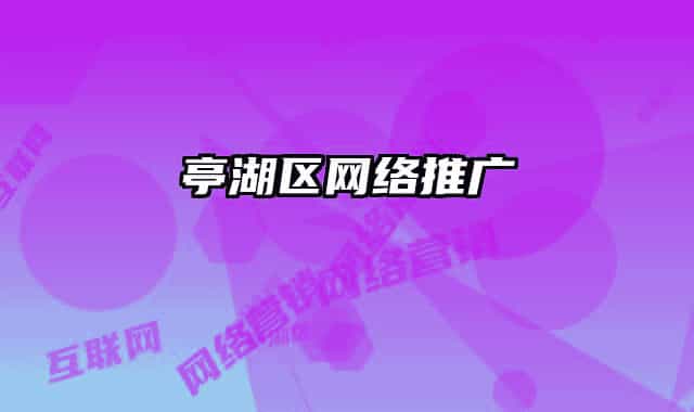 亭湖区网络推广
