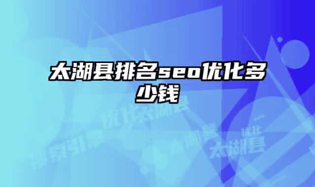太湖县排名seo优化多少钱