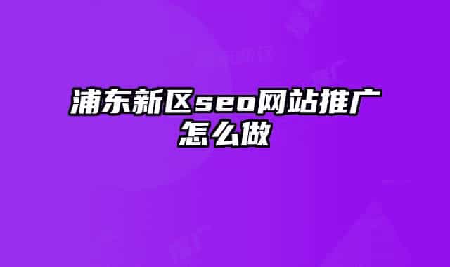 浦东新区seo网站推广怎么做