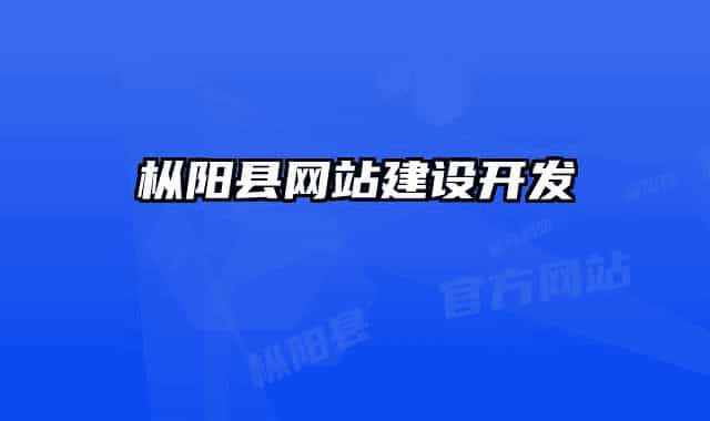 枞阳县网站建设开发