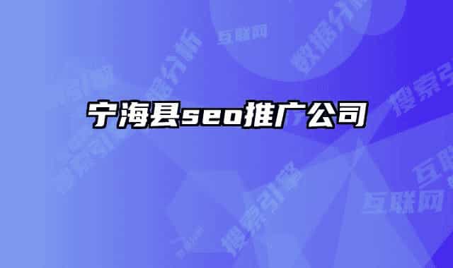 宁海县seo推广公司