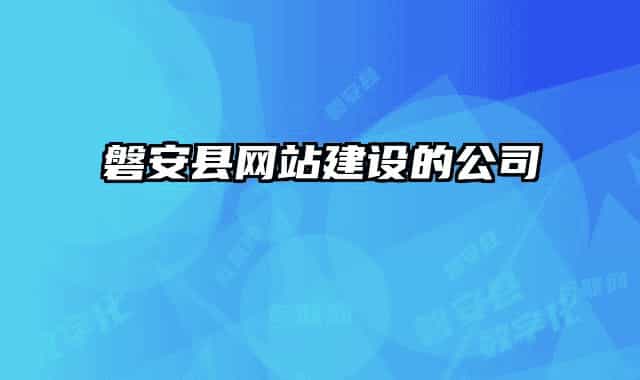 磐安县网站建设的公司