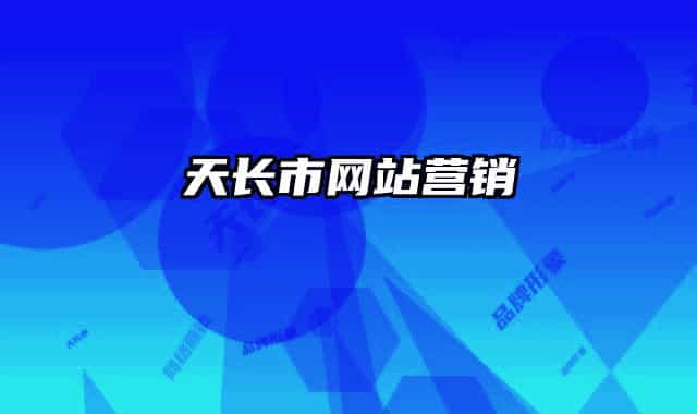 天长市网站营销