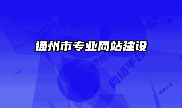 通州市专业网站建设