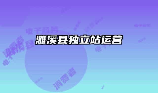 濉溪县独立站运营