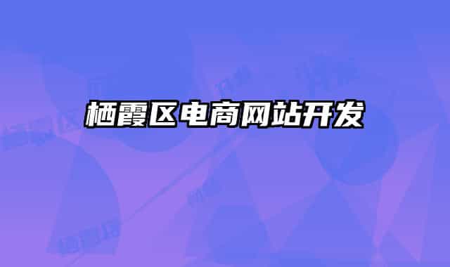 栖霞区电商网站开发
