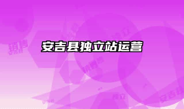 安吉县独立站运营