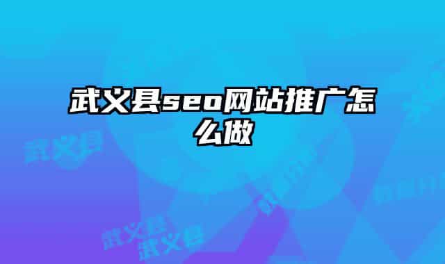 武义县seo网站推广怎么做