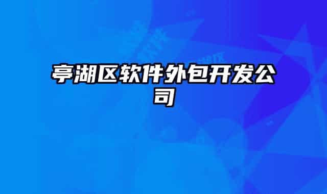 亭湖区软件外包开发公司
