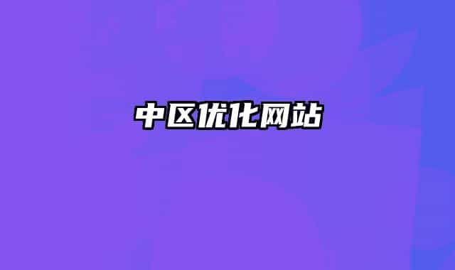中区优化网站