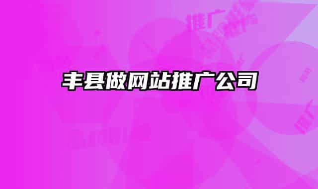 丰县做网站推广公司