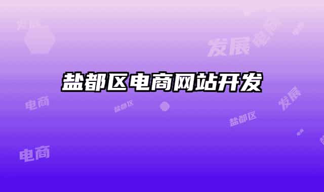 盐都区电商网站开发