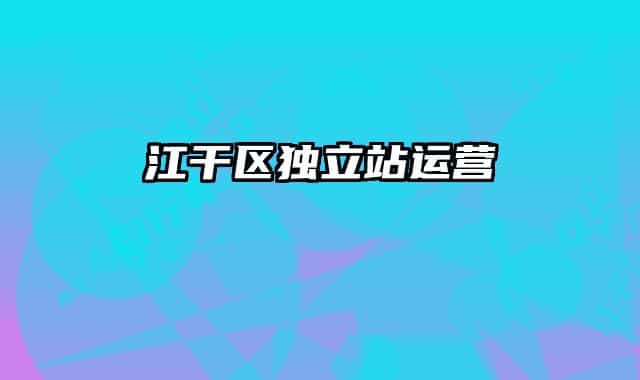 江干区独立站运营