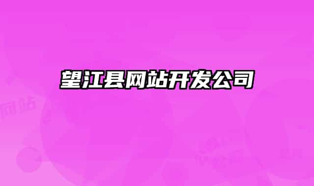 望江县网站开发公司