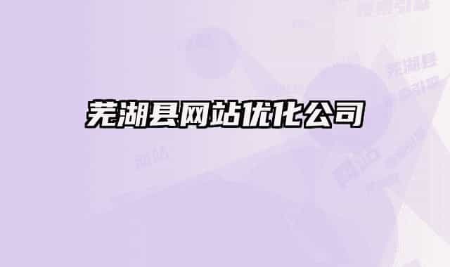 芜湖县网站优化公司