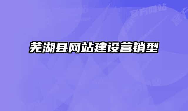 芜湖县网站建设营销型