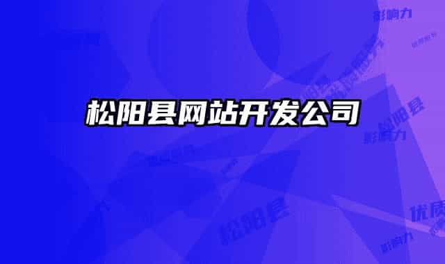 松阳县网站开发公司