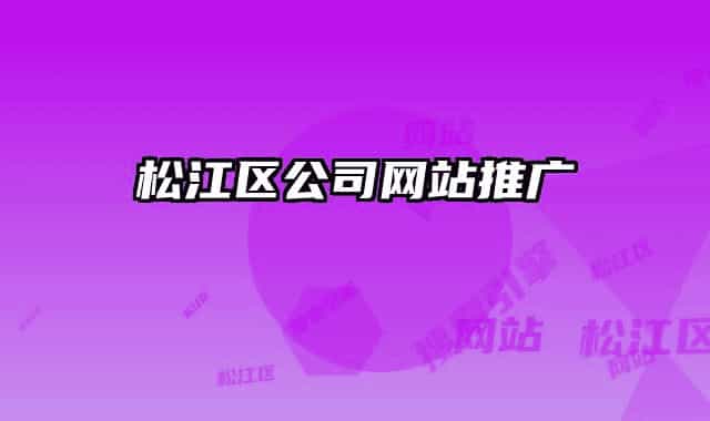 松江区公司网站推广