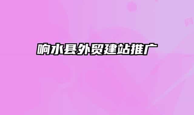 响水县外贸建站推广
