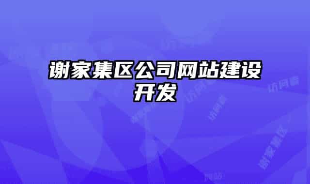 谢家集区公司网站建设开发