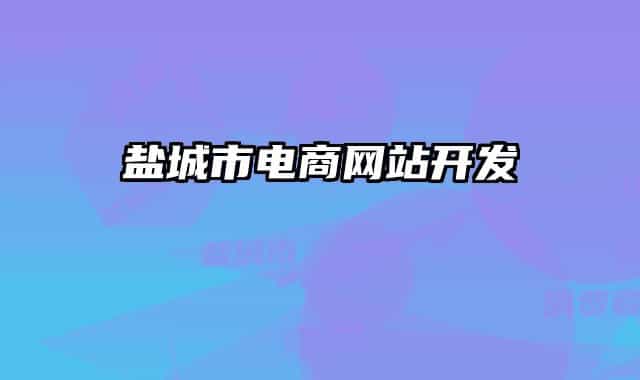 盐城市电商网站开发