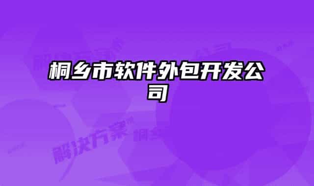 桐乡市软件外包开发公司