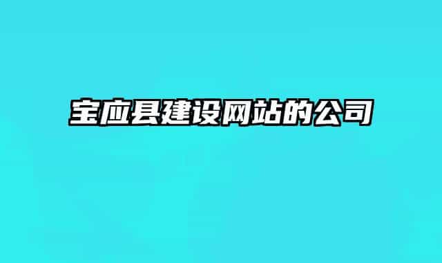 宝应县建设网站的公司