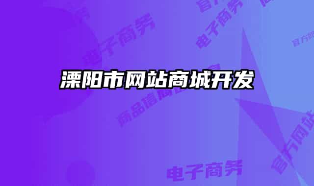 溧阳市网站商城开发