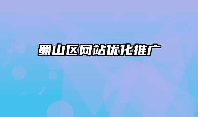 蜀山区网站优化推广