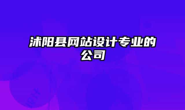 沭阳县网站设计专业的公司