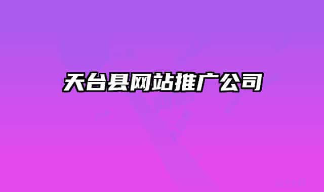 天台县网站推广公司