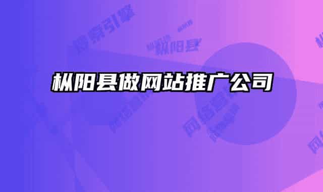 枞阳县做网站推广公司