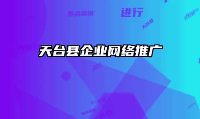 天台县企业网络推广
