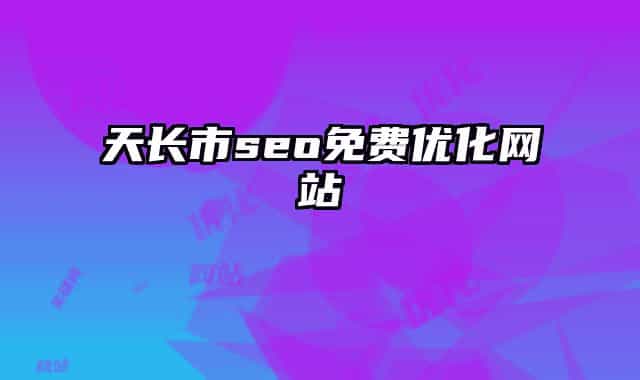 天长市seo免费优化网站