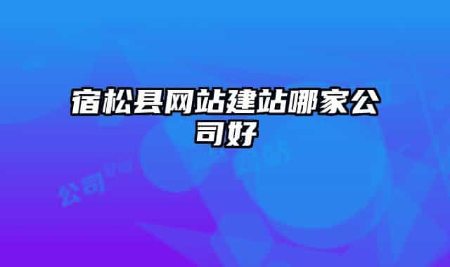 宿松县网站建站哪家公司好