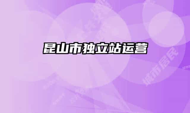 昆山市独立站运营