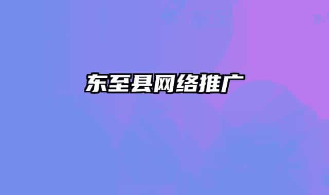 东至县网络推广