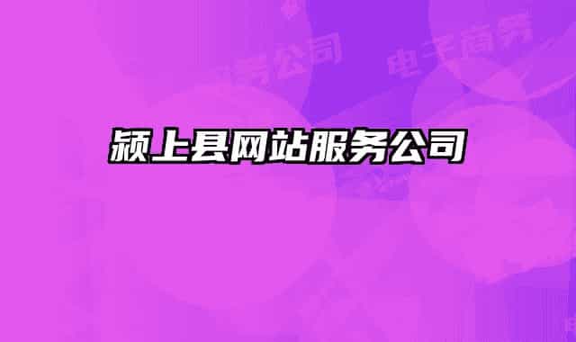 颍上县网站服务公司