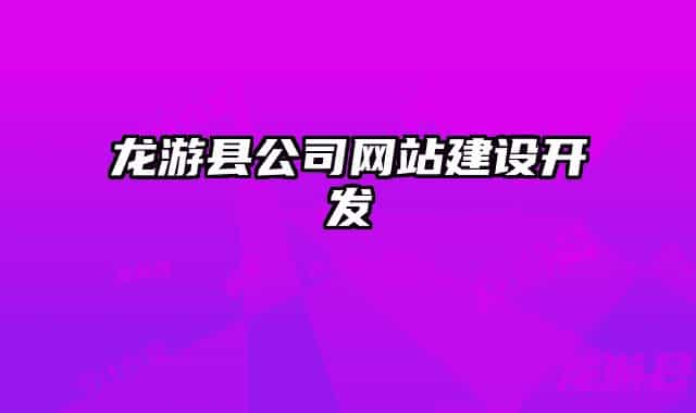 龙游县公司网站建设开发